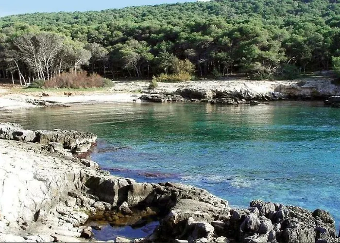 아파트 Open Space Di Cri